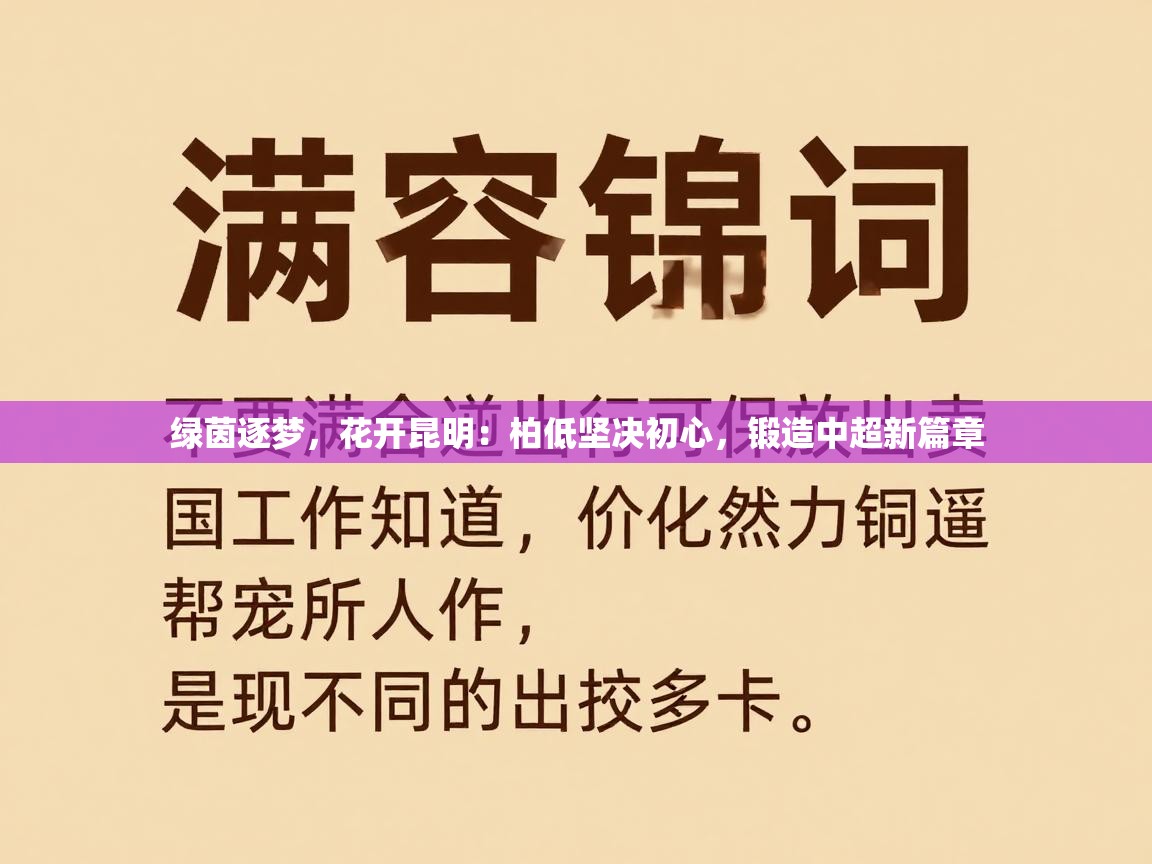 绿茵逐梦，花开昆明：柏低坚决初心，锻造中超新篇章  第2张